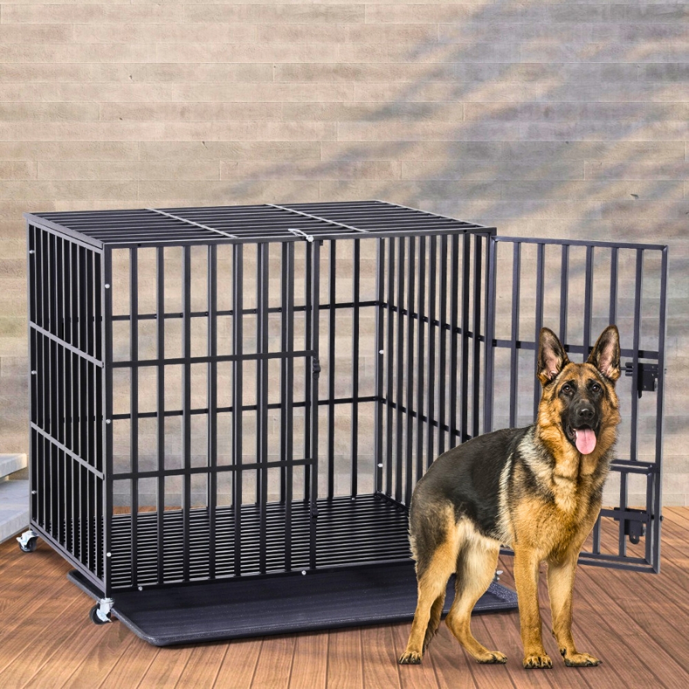 Mobile Dog Crate Walls For Aged Dogs photo