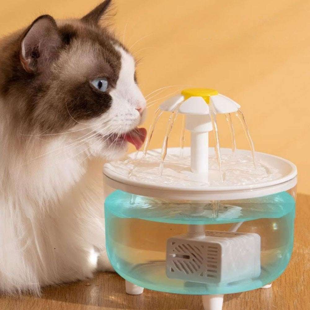 Automatic Water Dispenser for Pets Water Fountain Automatic Cat Drink Bowl_3