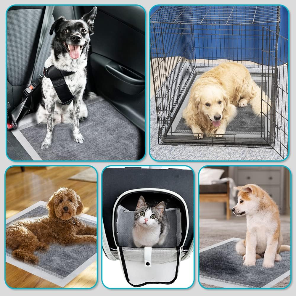 PETSWOL 100/50/40/20 Pack Disposable Dog Training Pads - SEKSI