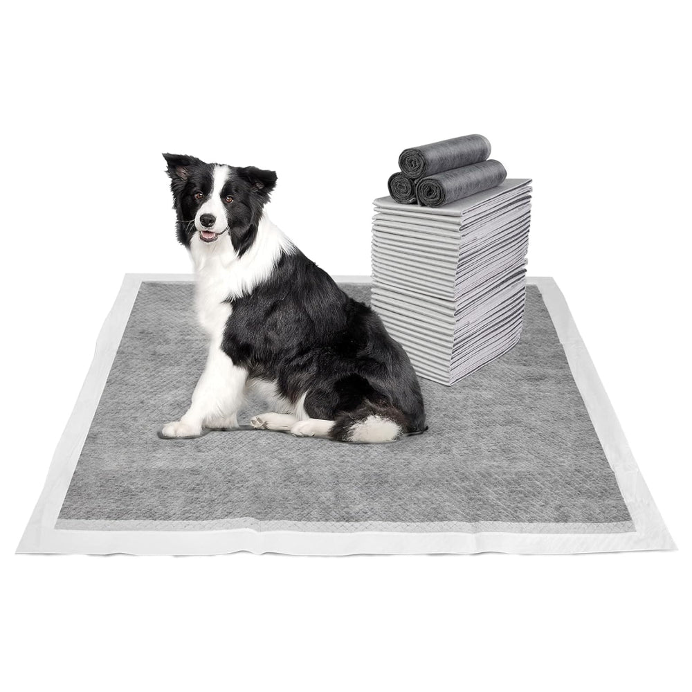PETSWOL 100/50/40/20 Pack Disposable Dog Training Pads - SEKSI