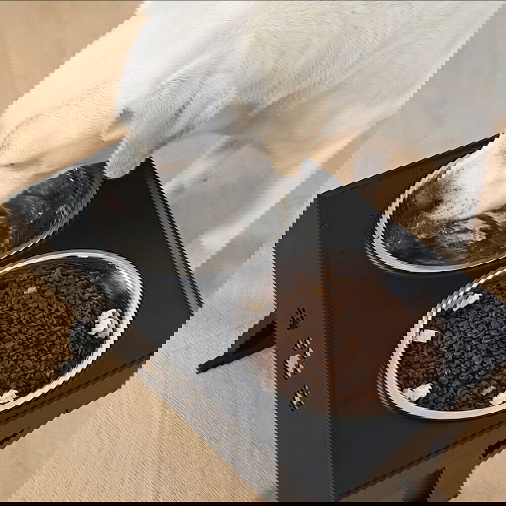 Elevated Double Bowl Dog Pet Feeder with Adjustable Height - SEKSI