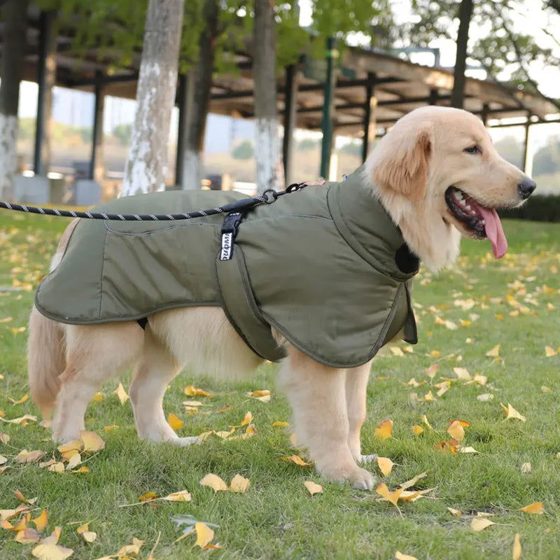 Hooded Pet Winter Jacket Thick and Comfortable Padded Dog Clothes - SEKSI