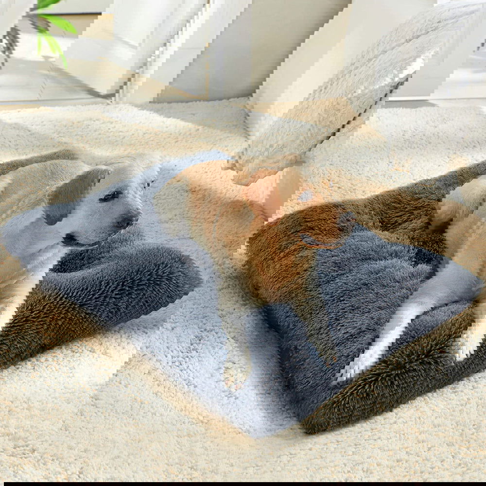 PETSWOL Plush and Cozy Pet Mat for Ultimate Comfort and Warmth - SEKSI