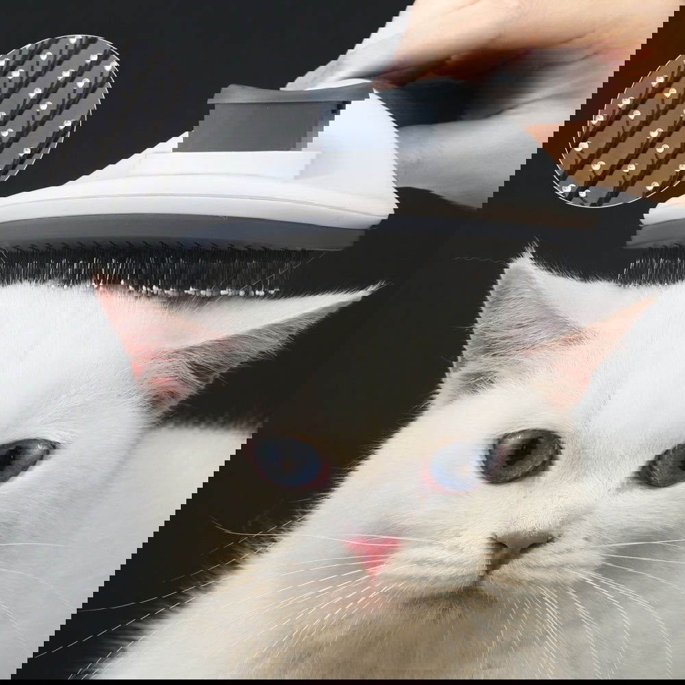 Pet Hair Remover Brush for Dogs and Cats - SEKSI