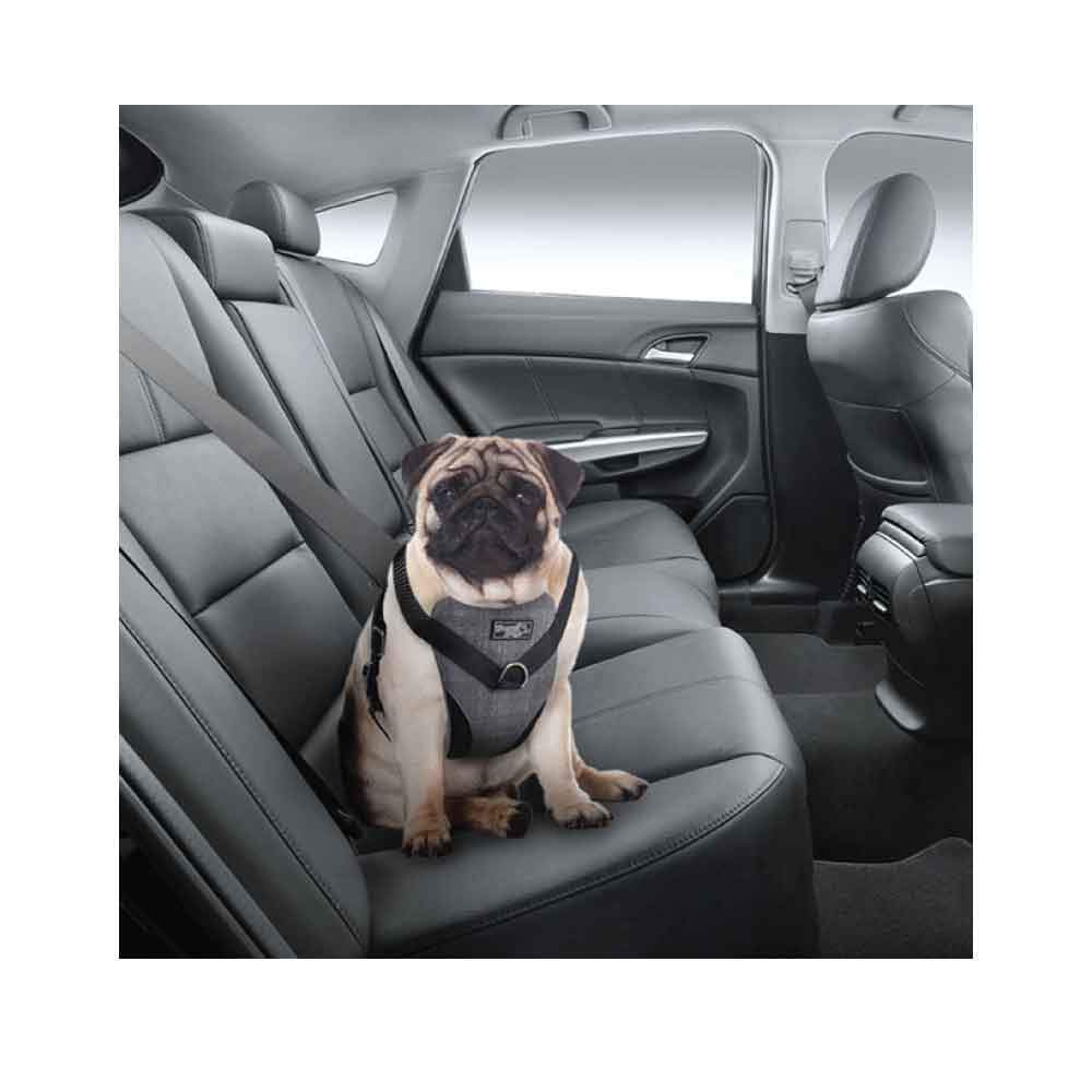 S Dog Harness 2 in 1 Combo - Car Travel Rides + Walks - No Pull Leash Seat Belt - SEKSI