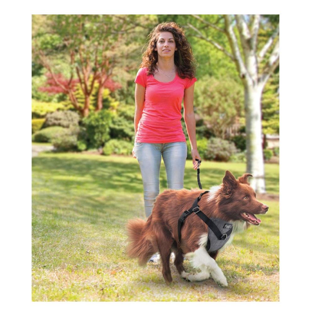 S Dog Harness 2 in 1 Combo - Car Travel Rides + Walks - No Pull Leash Seat Belt - SEKSI