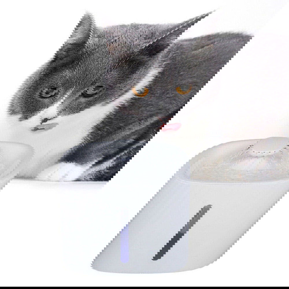 USB Powered Large Capacity Noise Free Pet Water Fountain - SEKSI