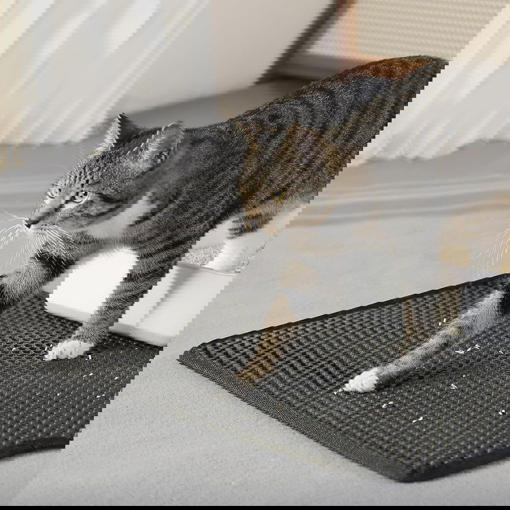 Waterproof Double Layer Cat Litter Mat Non-Slip Scratch Pad - SEKSI