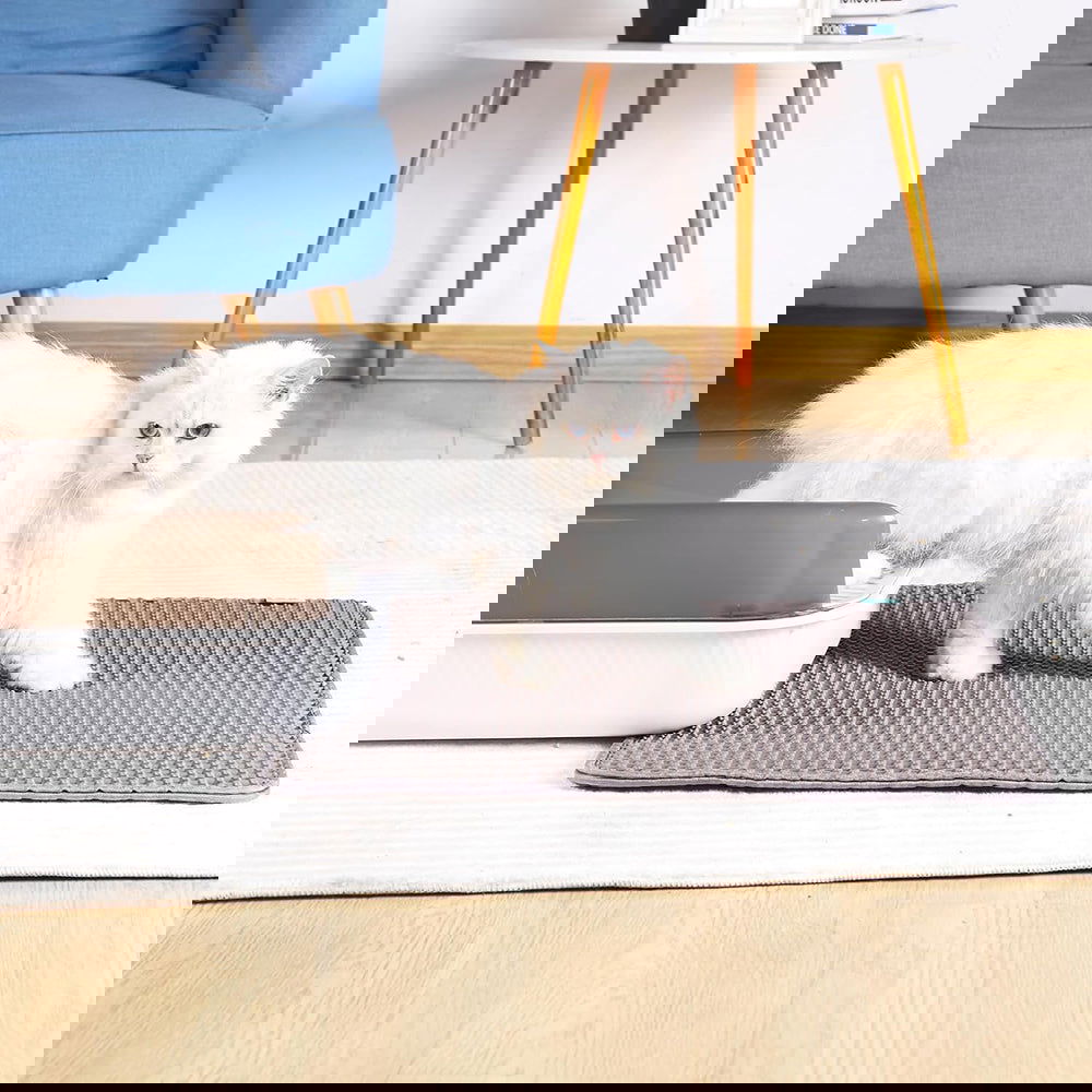 Waterproof Double Layer Cat Litter Mat Non-Slip Scratch Pad - SEKSI