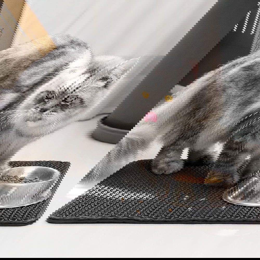 Waterproof Double Layer Cat Litter Mat Non-Slip Scratch Pad - SEKSI