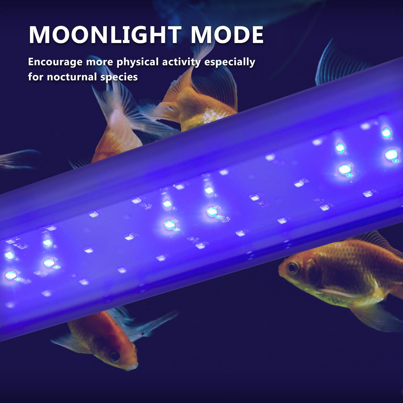 11W Set 2 Aquarium Blue White LED Light for Tank 50-70cm - SEKSI