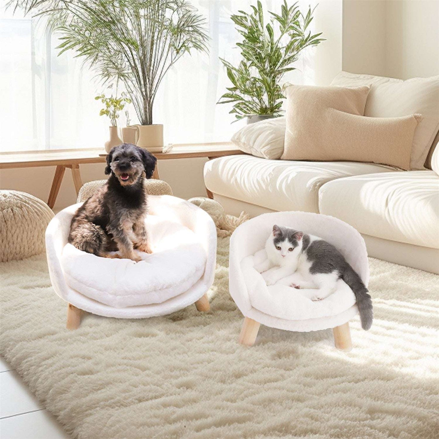 Pet Sofa Bed Raised Cat Chair with Removable Cushion_6