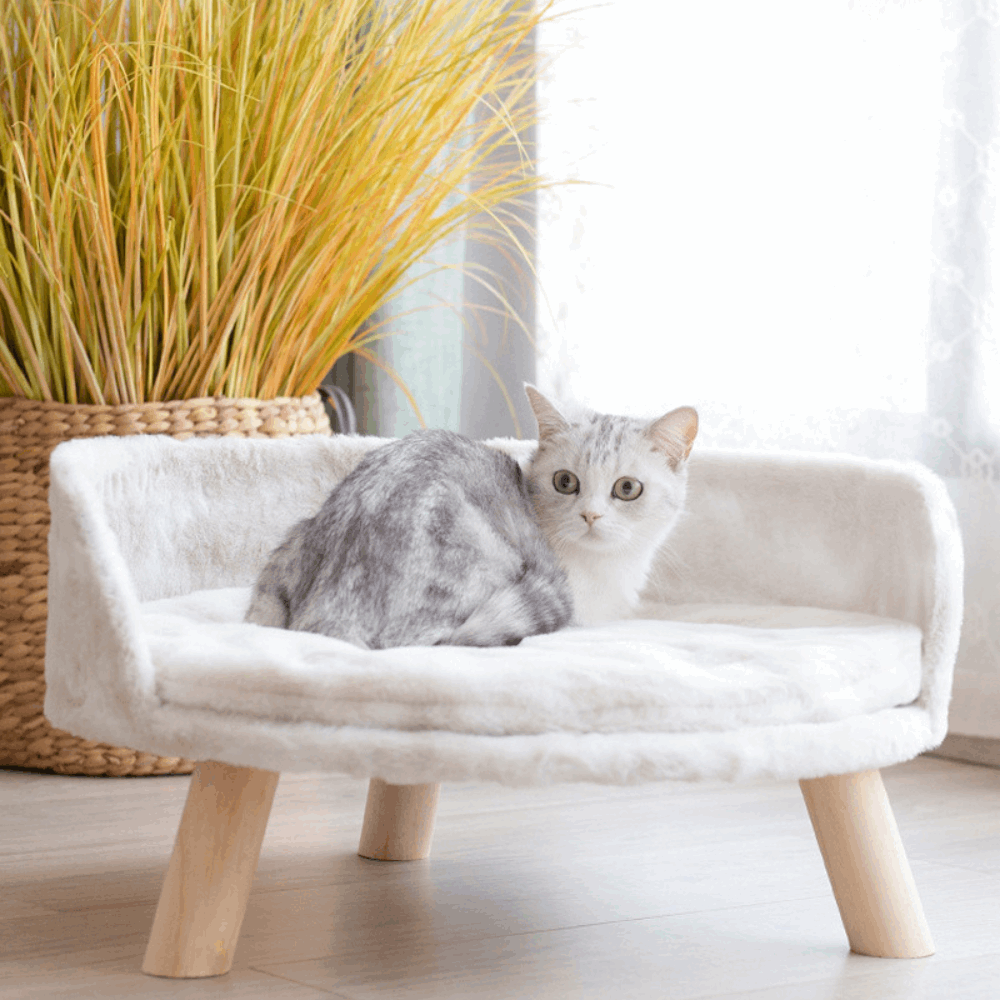 Pet Sofa Bed Raised Cat Chair with Removable Cushion_4