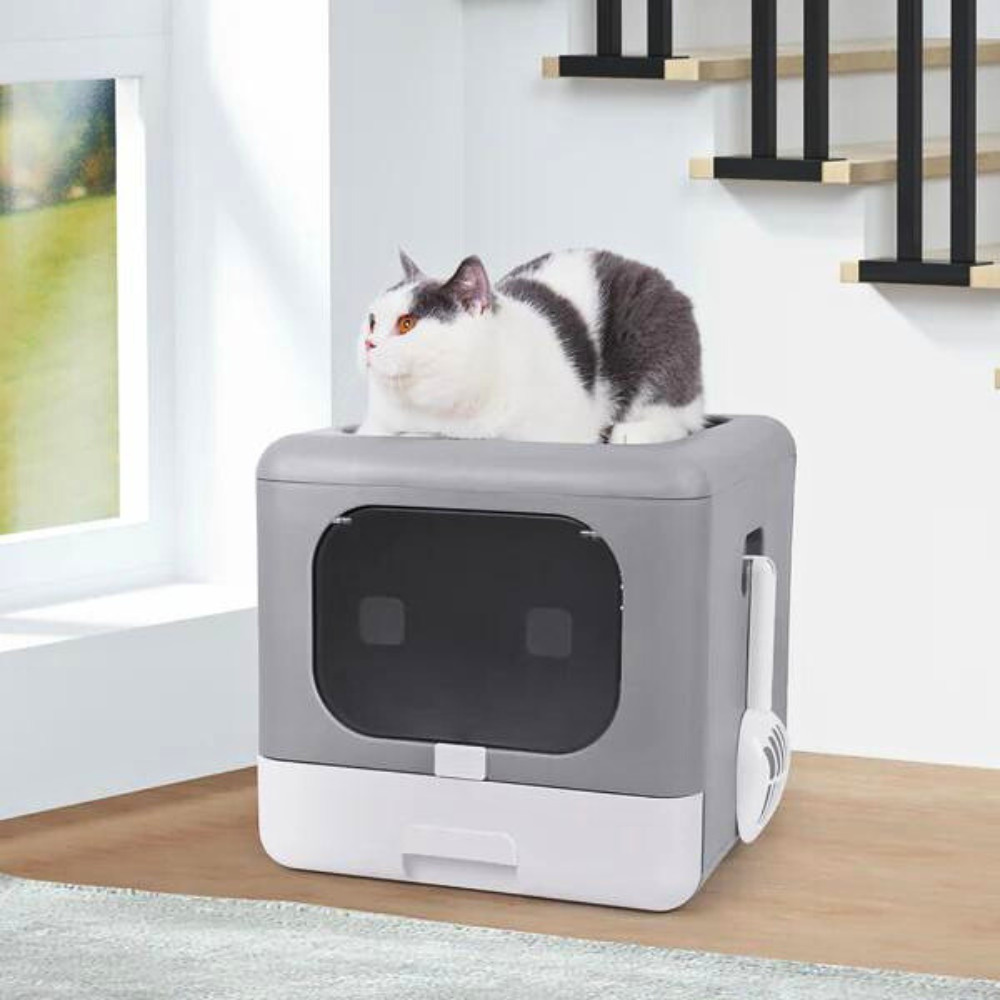 Sleek and Functional Cat Litter Box-Detachable Design_1