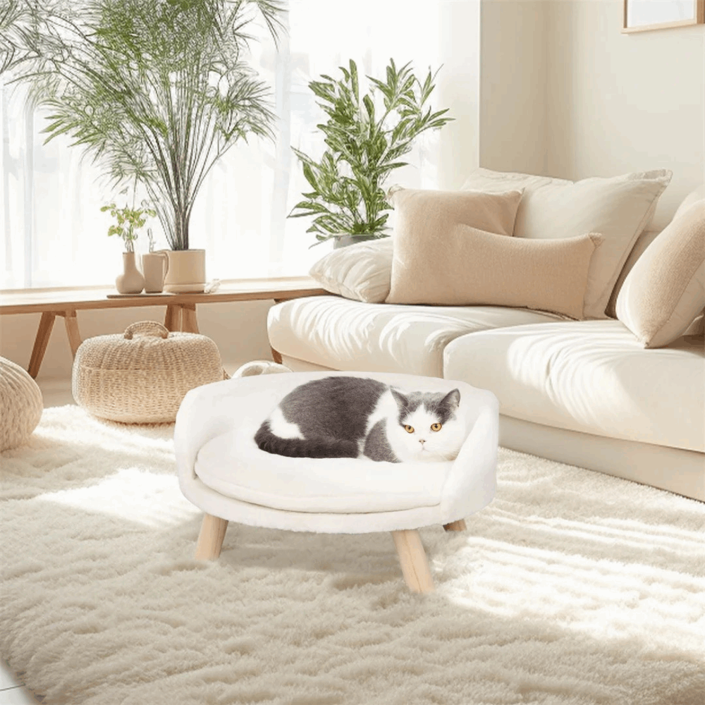 Plush Luxury Cat Bed with Cozy Cushion Pad_1