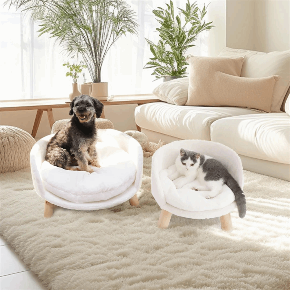 Plush Luxury Cat Bed with Cozy Cushion Pad_5