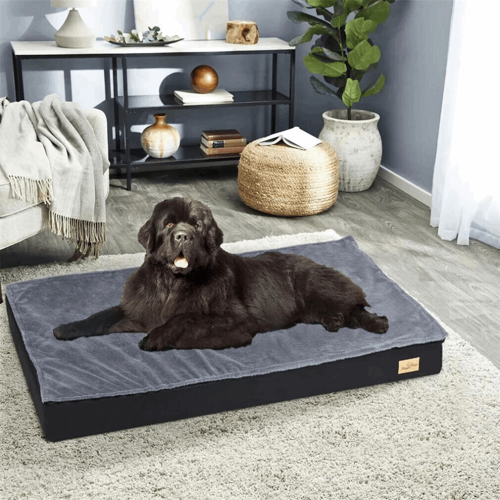 Comfy Orthopedic Dog Bed - Washable for Easy Maintenance - Perfect for Restful Sleep!_0