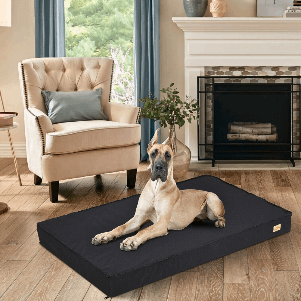 Comfy Orthopedic Dog Bed - Washable for Easy Maintenance - Perfect for Restful Sleep!_1