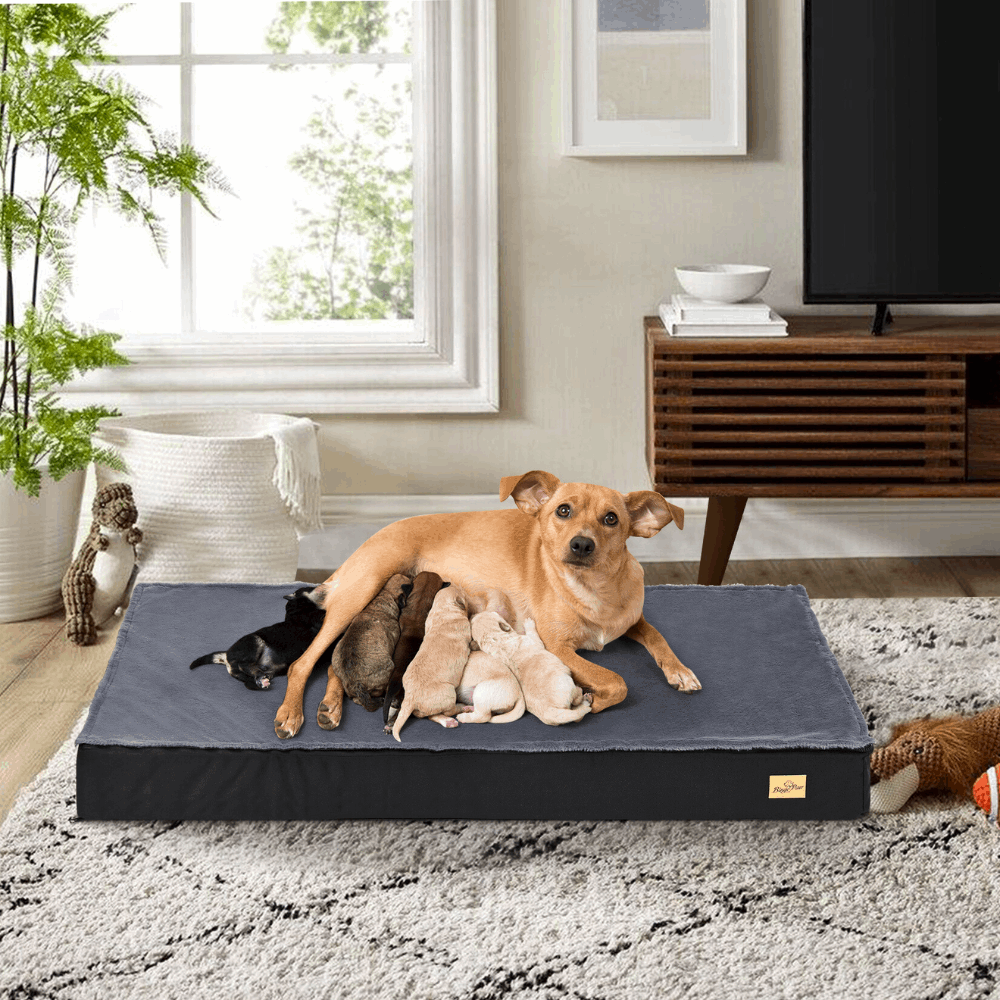 Comfy Orthopedic Dog Bed - Washable for Easy Maintenance - Perfect for Restful Sleep!_3