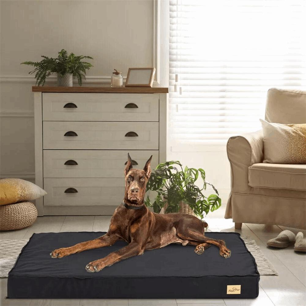 Comfy Orthopedic Dog Bed - Washable for Easy Maintenance - Perfect for Restful Sleep!_4