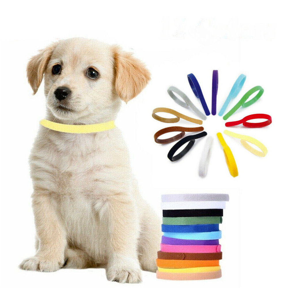 12 Colors Nylon Newborn Puppy Kitten Identification ID Collars_0