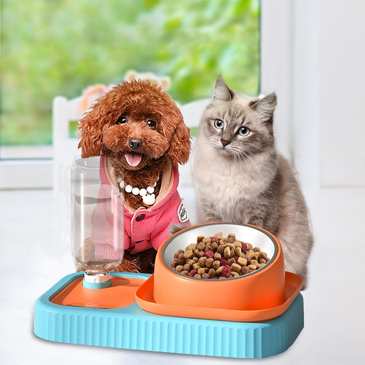 3 in 1 Pet Food Container with Automatic Drinking Bottle_0