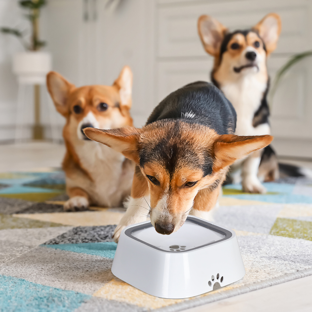 Floating Pet Water Bowl with Waterproof Mat_4