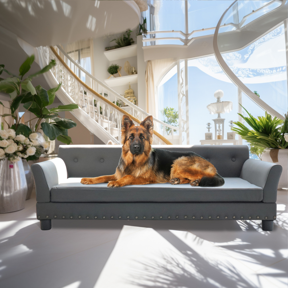 Luxurious Elevated Dog Bed Sofa with Microfiber Leather Cover_0