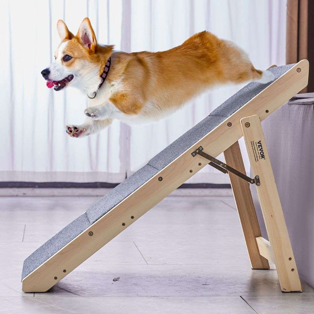 2 in 1 Foldable Pet Steps Ramp for Small to Large Dogs_1