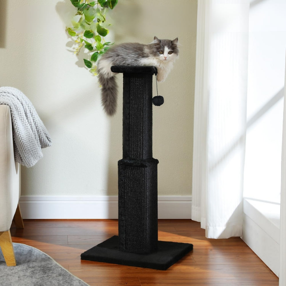 80CM Cat Scratching Post for Indoor Cat Scratcher with Nature Sisal Ball_3