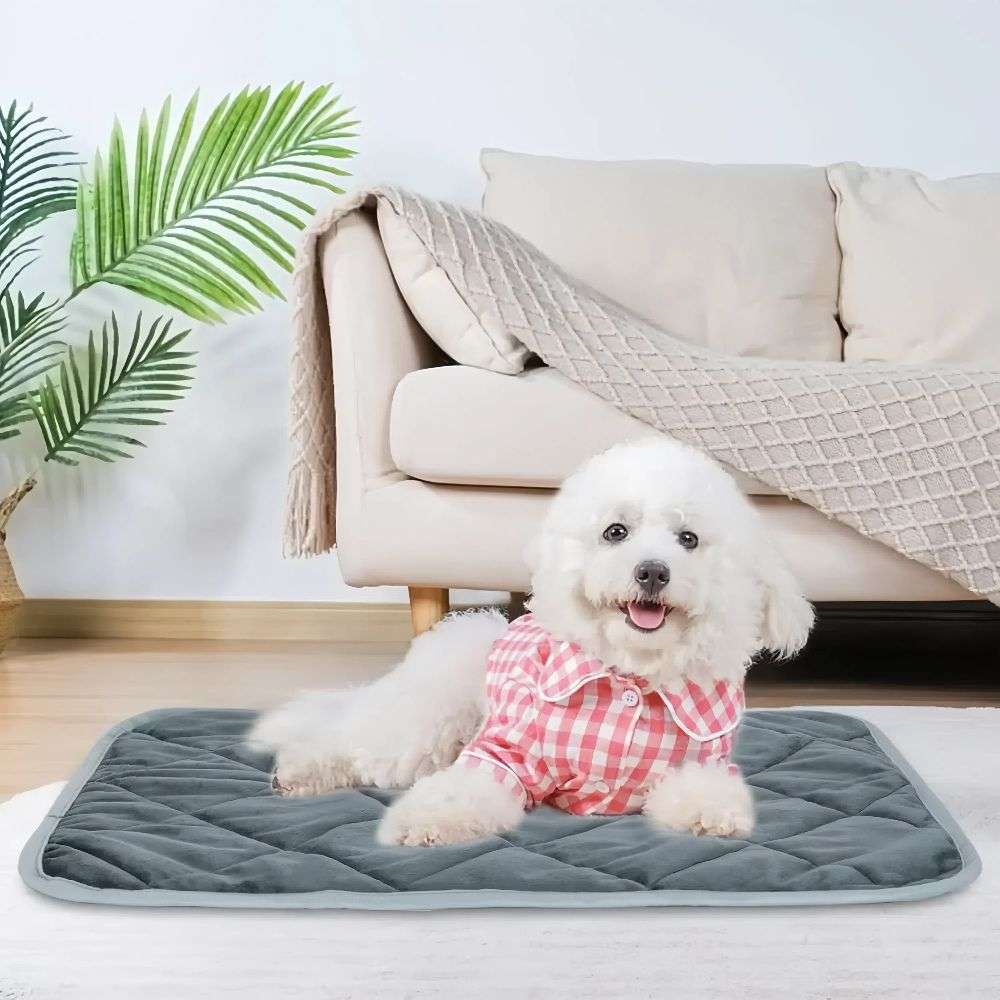 Extra Warm Self Heating Pet Pad for Small and Medium Dogs and Cats_0