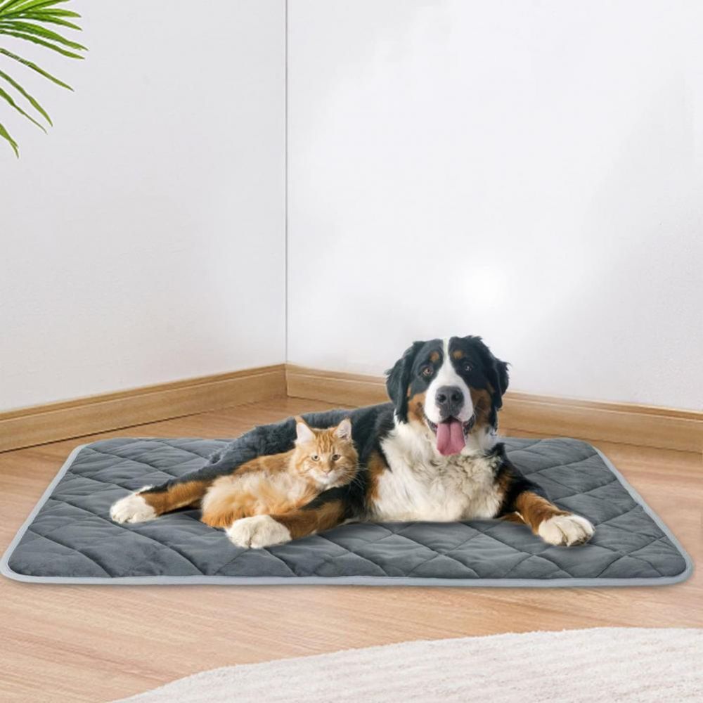 Extra Warm Self Heating Pet Pad for Small and Medium Dogs and Cats_1