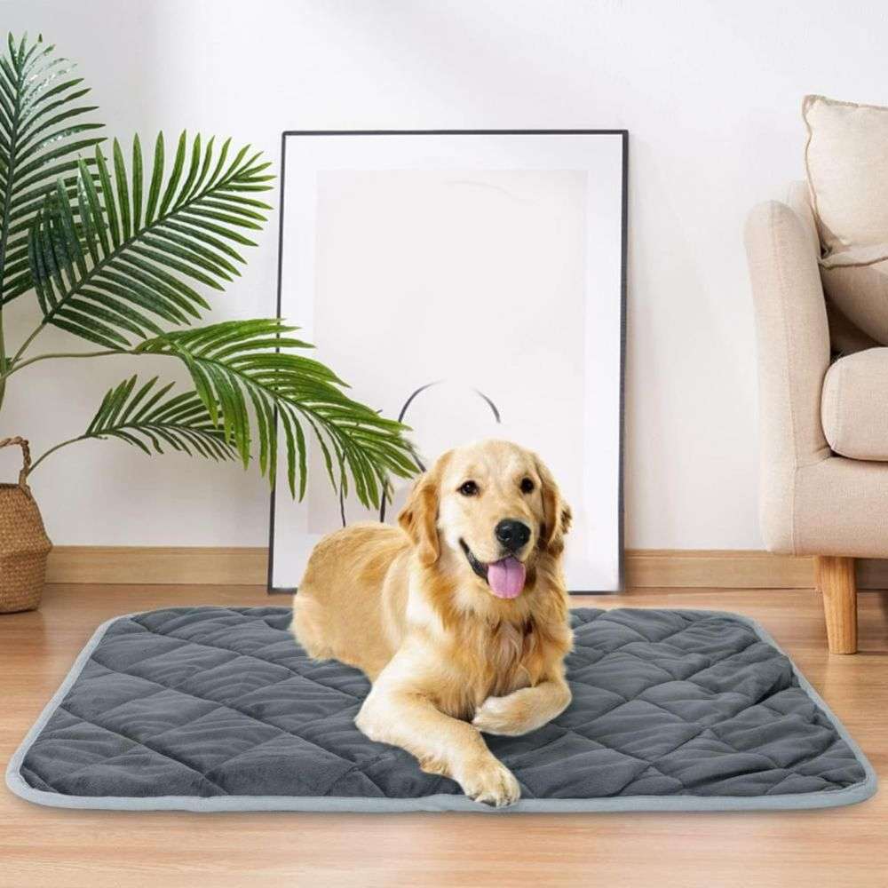 Extra Warm Self Heating Pet Pad for Small and Medium Dogs and Cats_2