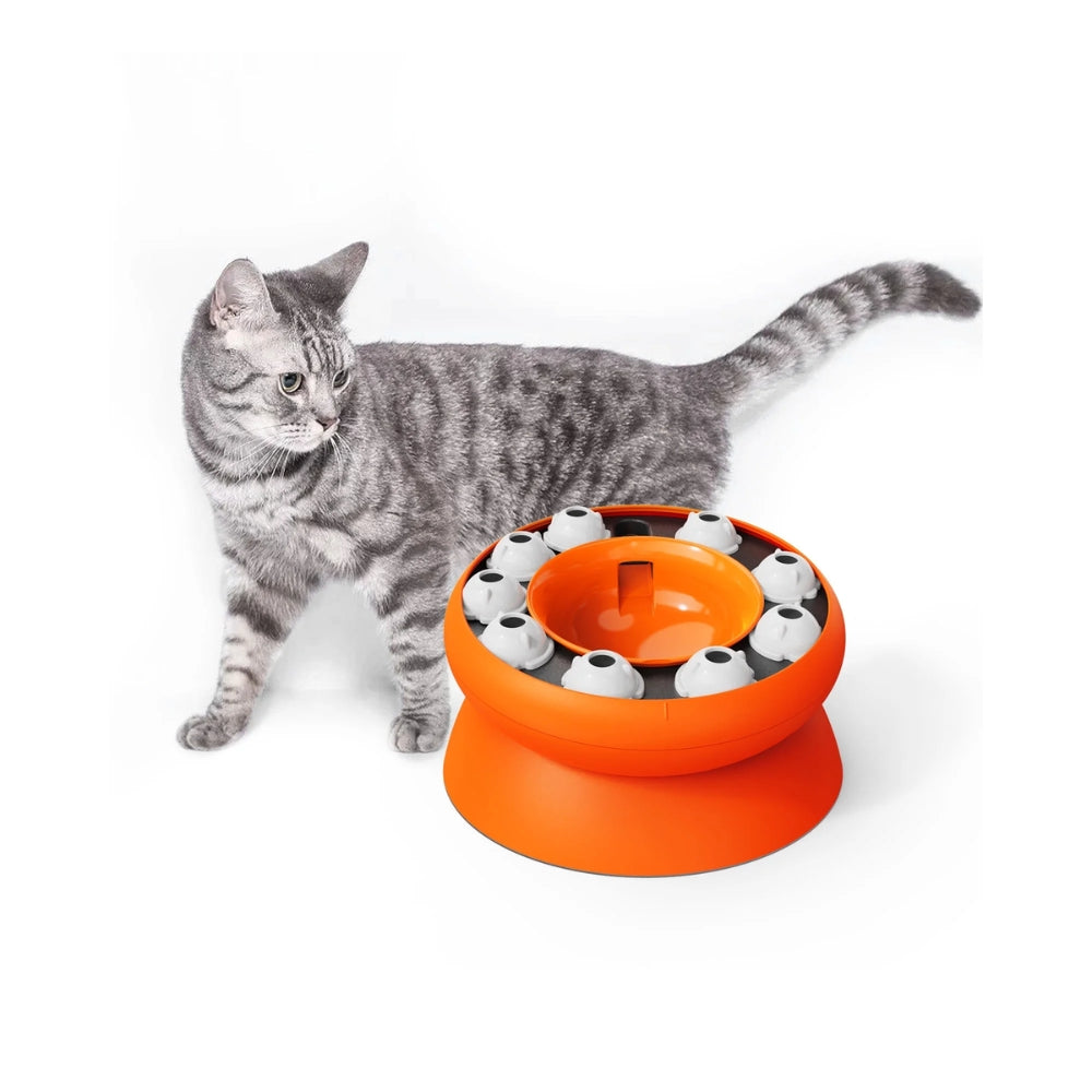 Slow Feeder Cat Bowl Cat Stomach Healthy Slanted Design Multifunction Pet Feed Bowl_3