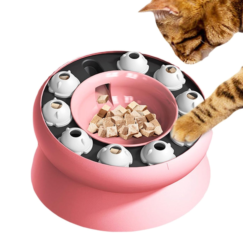 Slow Feeder Cat Bowl Cat Stomach Healthy Slanted Design Multifunction Pet Feed Bowl_4