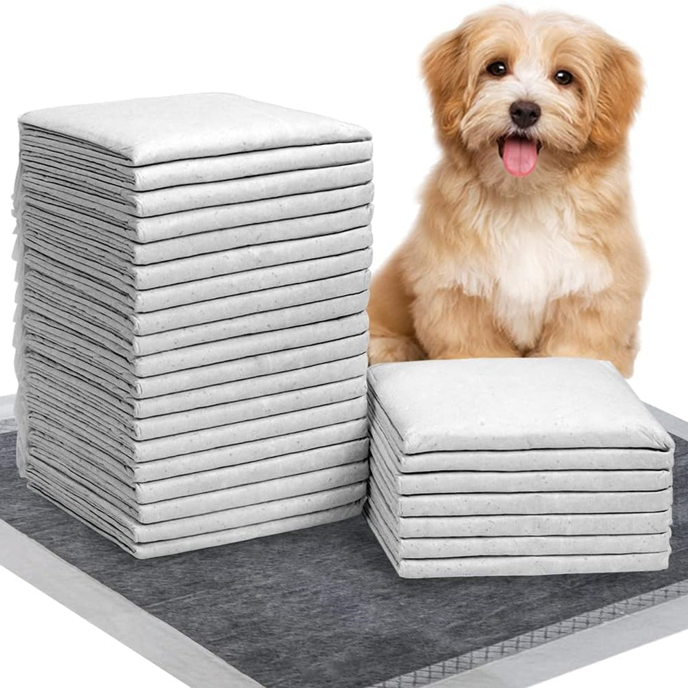 PETSWOL 100/50/40/20 Pack Disposable Dog Training Pads - SEKSI