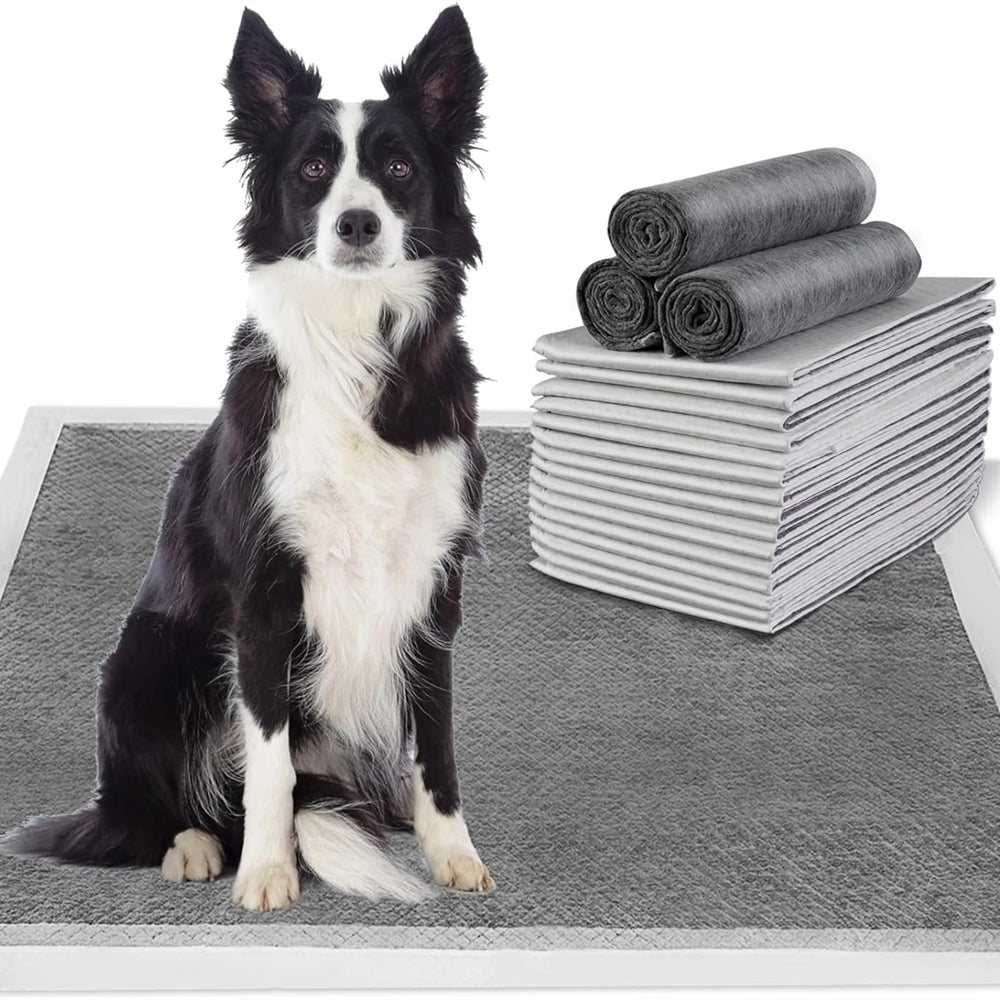 PETSWOL 100/50/40/20 Pack Disposable Dog Training Pads - SEKSI