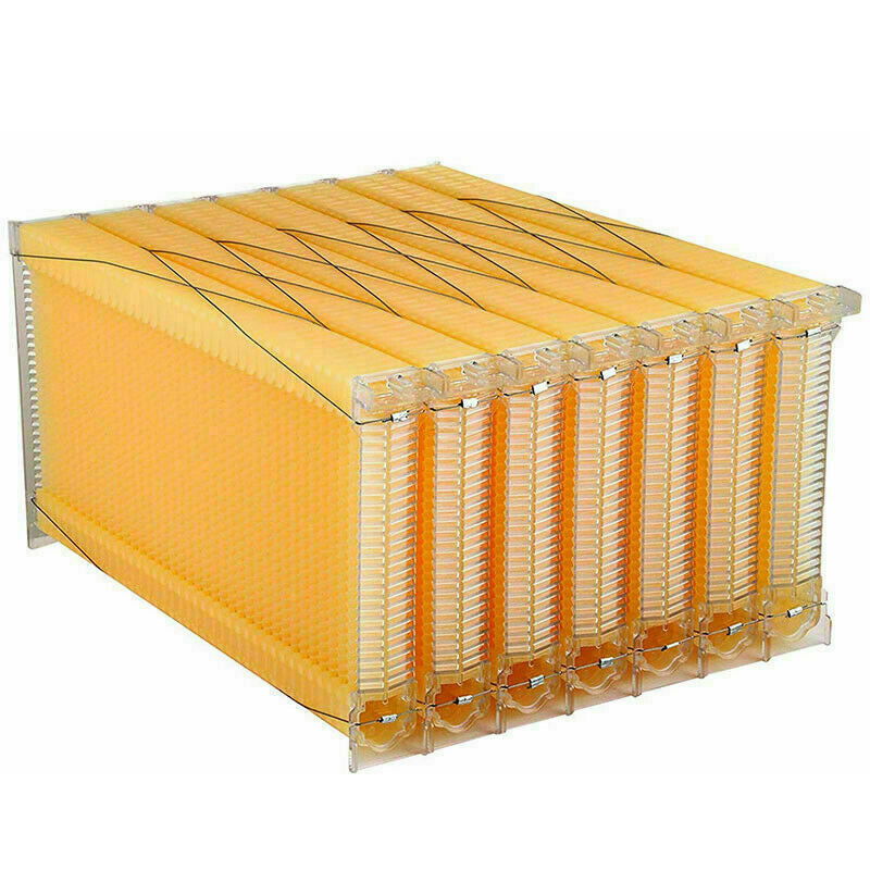 7 Pcs Unassembled Sheets Beehive Wooden Frames Beekeeping Supplies - SEKSI