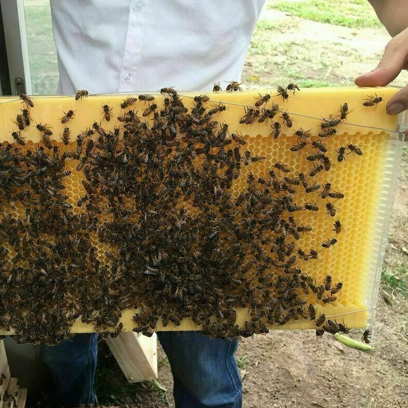 7 Pcs Unassembled Sheets Beehive Wooden Frames Beekeeping Supplies - SEKSI
