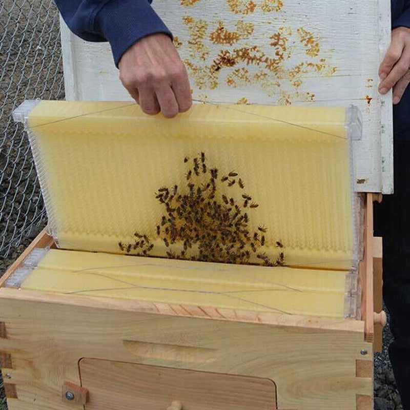 7 Pcs Unassembled Sheets Beehive Wooden Frames Beekeeping Supplies - SEKSI