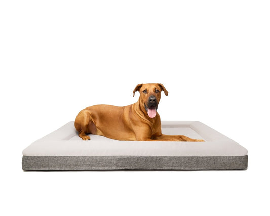 Fur King "Ortho" Orthopedic Dog Bed - XL - SEKSI