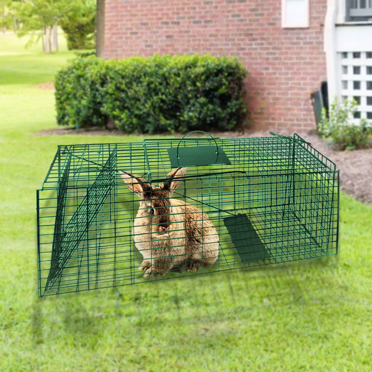 Klika Humane Live Animal Trap Possum Rat Rabbit Hare Catcher Folding Cage - SEKSI