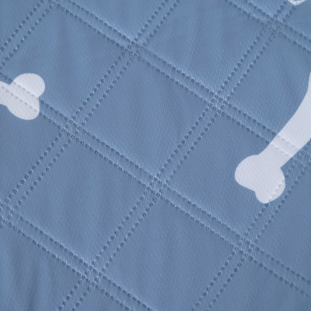 PETSWOL 2 Pack Pet Dog Diaper Bone Pattern Pee Pad - SEKSI