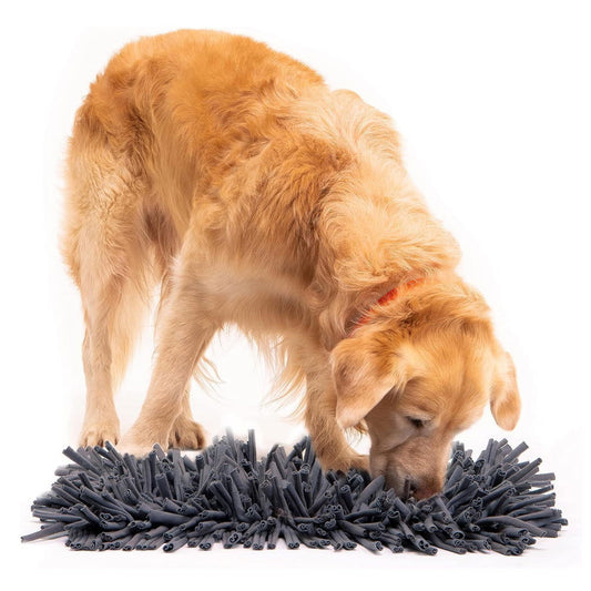 PETSWOL Dog Snuffle Mat - Premium Interactive Toy For Calm And Happy Pups - SEKSI
