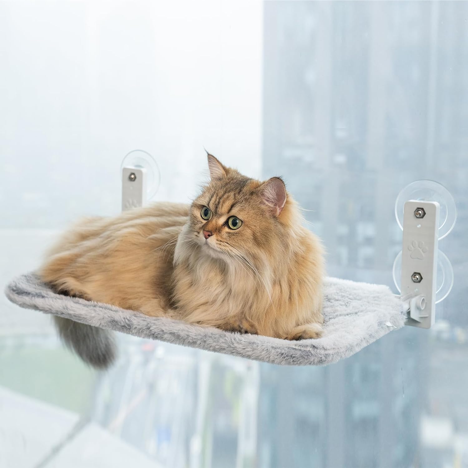 PETSWOL Foldable Cordless Cat Window Perch For Wall With Strong Suction Cups - SEKSI