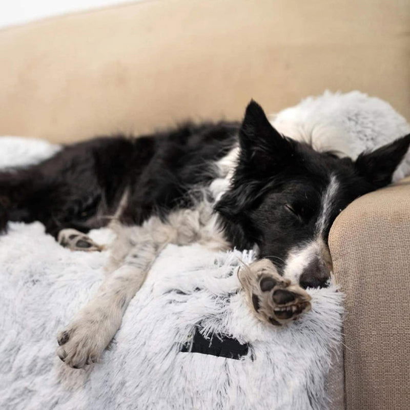 Portable Furniture Mat Protector with Washable Cover Pet Cushion - SEKSI