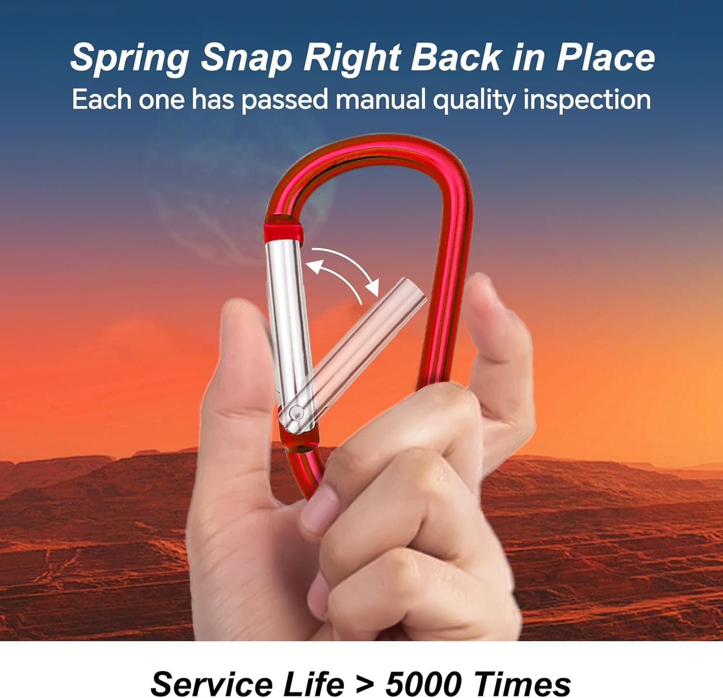 Carabiner Clip Multi Size Pack, Aluminum Carabiner Includes Small 2 Inch Carbineers, Medium 2.3" D Ring Clip, Large 3 Inch Caribiner Heavy Duty for Backpack