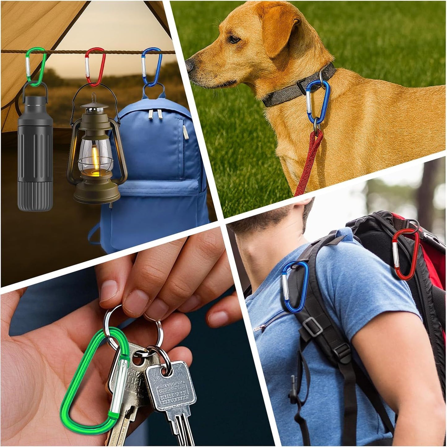 Carabiner Clip Multi Size Pack, Aluminum Carabiner Includes Small 2 Inch Carbineers, Medium 2.3" D Ring Clip, Large 3 Inch Caribiner Heavy Duty for Backpack