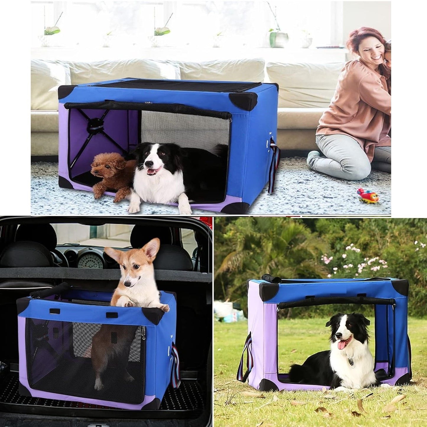 Portable Dog Crate Collapsible, Blue Purple