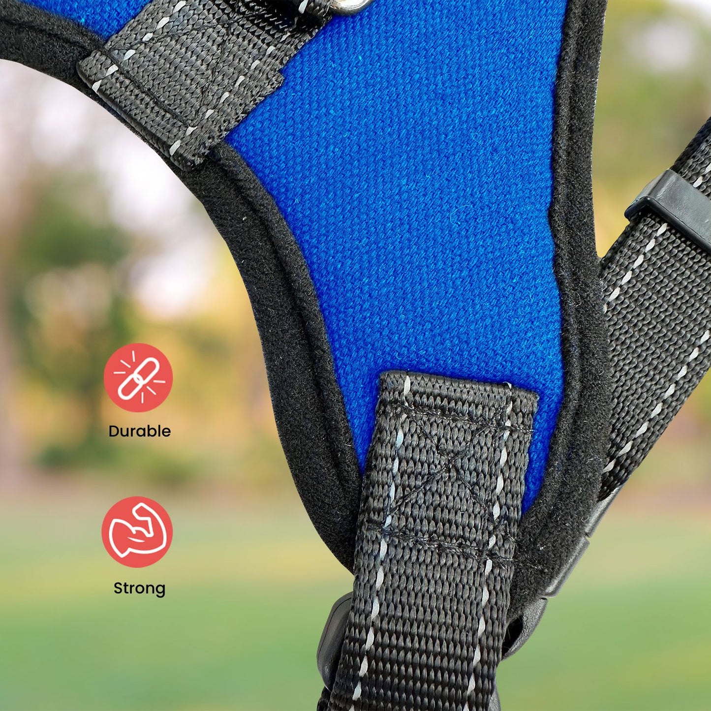 FLOOFI Dog Harness M Size (Blue)